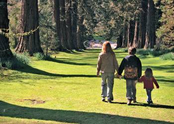 Witton-Castle-Country-Park