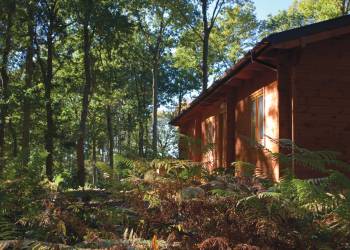 Woodland-Park-Lodges