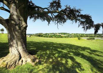 Witton-Castle-Country-Park