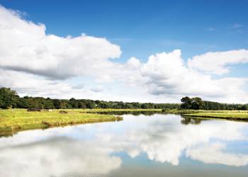 Witton-Castle-Country-Park