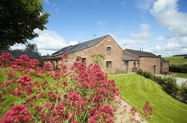 Jenny's Croft a british holiday cottage for 4 in , 