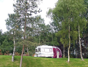 Lilliardsedge-Holiday-Park-and-Golf-Course